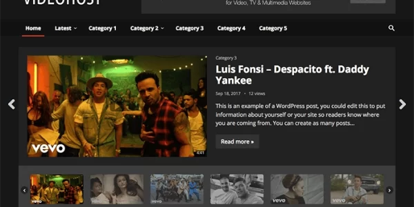 VideoHost Pro 1.5 GPL Theme