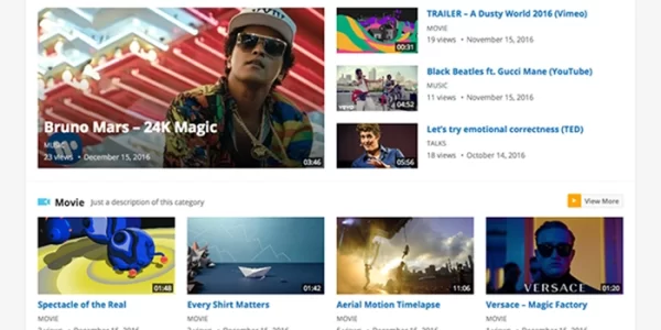 VideoNow Pro 1.9 GPL Theme