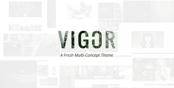 Vigor – Vintage WordPress Theme 3.3 GPL Theme