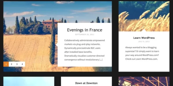 Vision Theme 1.7 GPL Theme