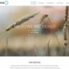 Viva Themes Indigo WordPress Theme 2.2 GPL Theme