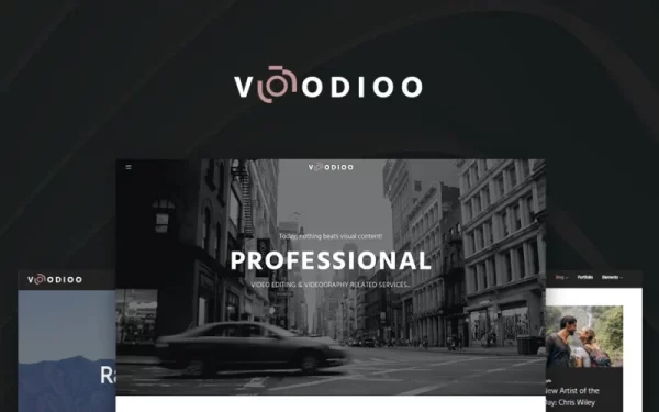 Voodioo Videographer Responsive WordPress theme WordPress Theme 1.0.0 GPL Theme