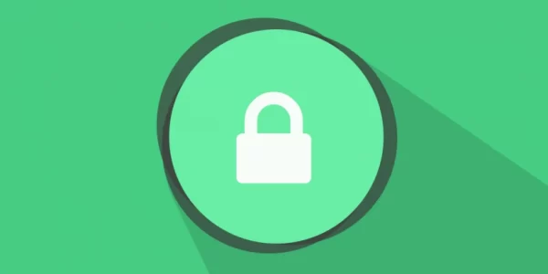 WP Customer Area Owner restrictions 4.1.1 GPL Plugins