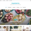 WP Enjoy EnjoyStyle Pro 1.0.1 GPL Theme