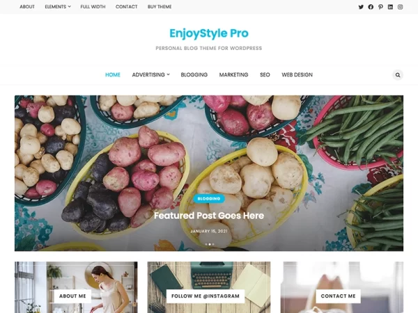 WP Enjoy EnjoyStyle Pro 1.0.1 GPL Theme