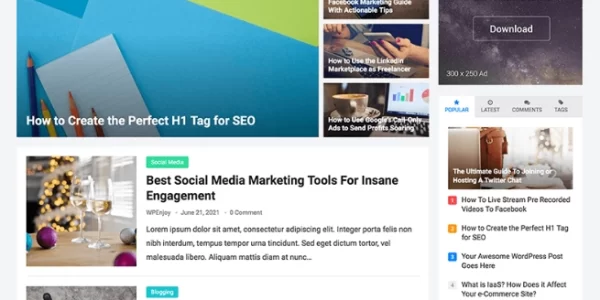 WP Enjoy – BlogSite Pro 1.1.0 GPL Theme