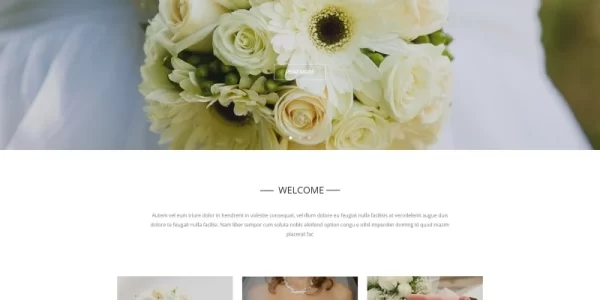 Wedding Wedding Salon Multipurpose Modern WordPress Elementor Theme WordPress Theme 1.0.0 GPL Theme