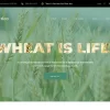 Wheattico Crop Farm Responsive WordPress Theme 1.0.0 GPL Theme