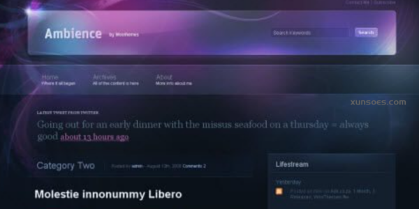 WooThemes Ambience Premium Theme 2.6.0 GPL Theme