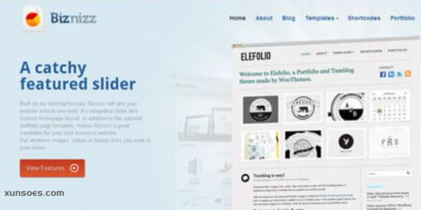 WooThemes Biznizz Premium Theme 1.6.9 GPL Theme