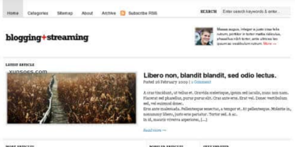 WooThemes Blogging Stream Premium Theme 2.7.1 GPL Theme