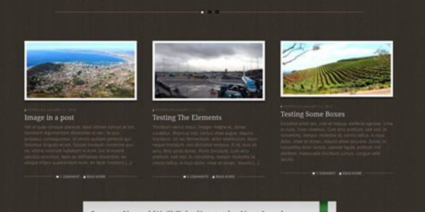WooThemes Buro Premium Theme 1.3.10 GPL Theme