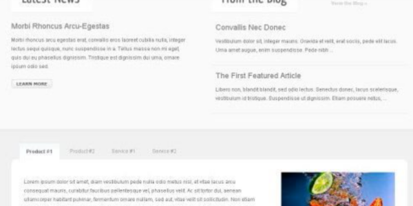 WooThemes Cushy Premium Theme 2.5.6 GPL Theme