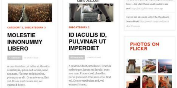 WooThemes Daily Edition Premium Theme 1.6.9 GPL Theme