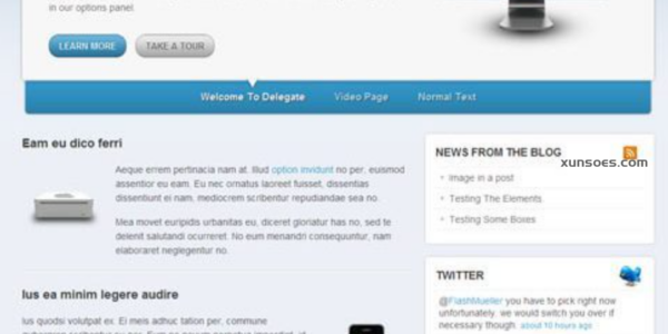 WooThemes Delegate Premium Theme 2.3.2 GPL Theme