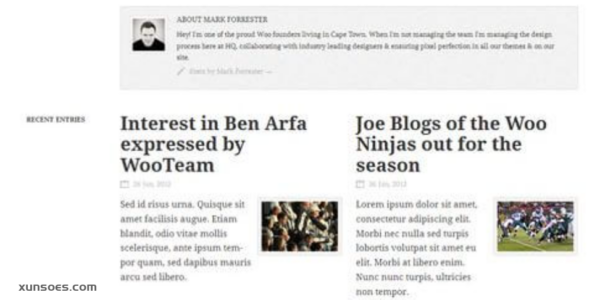 WooThemes Flipflop Premium Theme 1.1.1 GPL Theme