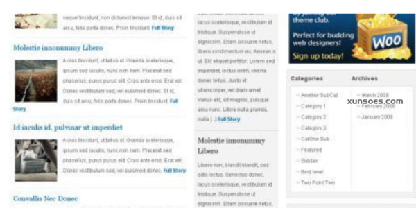 WooThemes Gotham News Premium Theme 3.0.0 GPL Theme