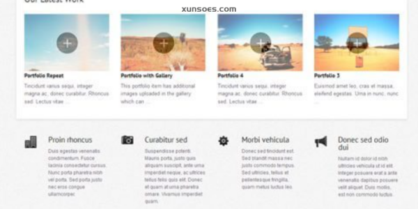 WooThemes Olya Premium Theme 1.2.22 GPL Theme