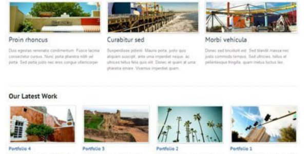 WooThemes Simplicity Premium Theme 1.13.4 GPL Theme