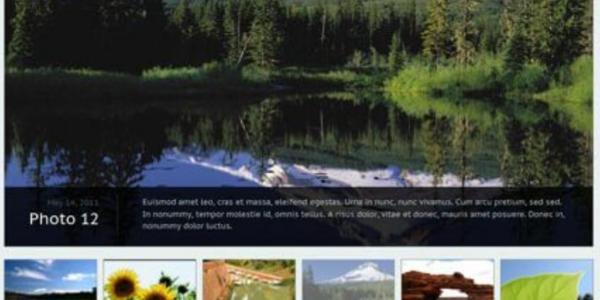 WooThemes Statua Premium Theme 1.3.0 GPL Theme
