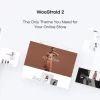Woostroid2 Multipurpose Elementor WooCommerce Theme 1.0.13 GPL Theme