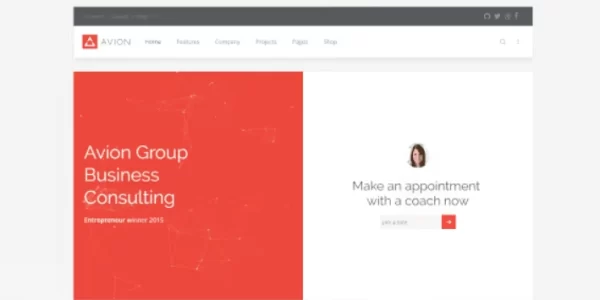 YOOTHEME AVION WORDPRESS THEME 1.0.5 GPL Theme