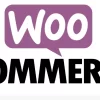 Affiliate Program for WooCommerce 1.4.3 GPL Plugins