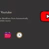 Auto Youtube WordPress Youtube Video Scraper Plugin 1.0.6 GPL Plugins