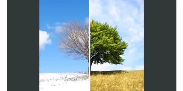 Before and After Image Slider Pro 1.4 GPL Plugins