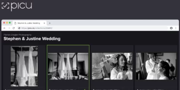 Picu Pro  – Online Photo Proofing with WordPress 1.4.6 GPL Plugins