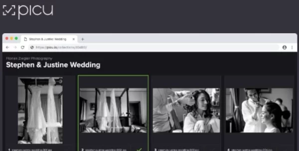 Picu Pro  – Online Photo Proofing with WordPress 1.4.6 GPL Plugins