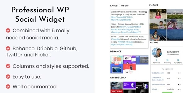 Professional WP Social Widget Plugin 1.2 GPL Plugins